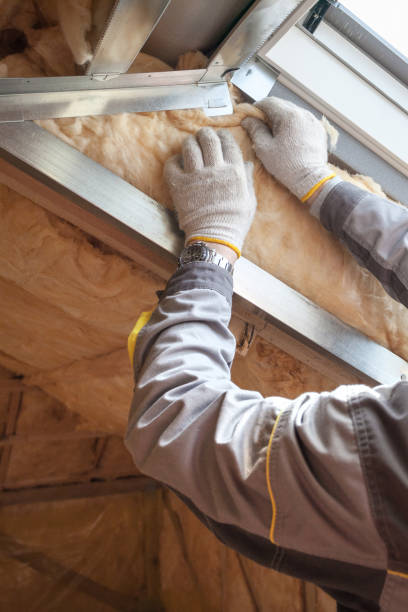 Best Fiberglass Insulation in Downs, IL