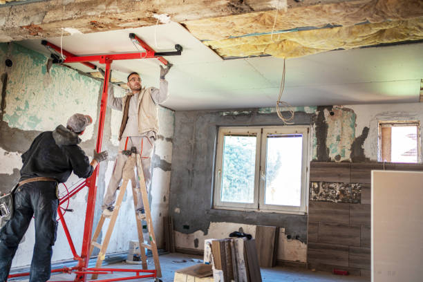 Trusted Downs, IL Insulation Contractor Experts