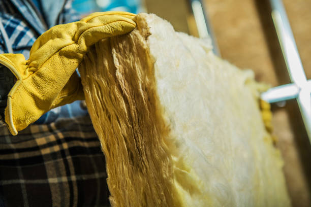 Best Specialized Insulation Services in Downs, IL