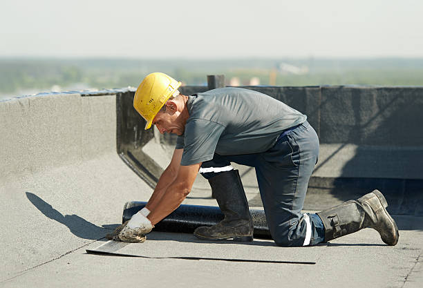 Best Cellulose Insulation in Downs, IL