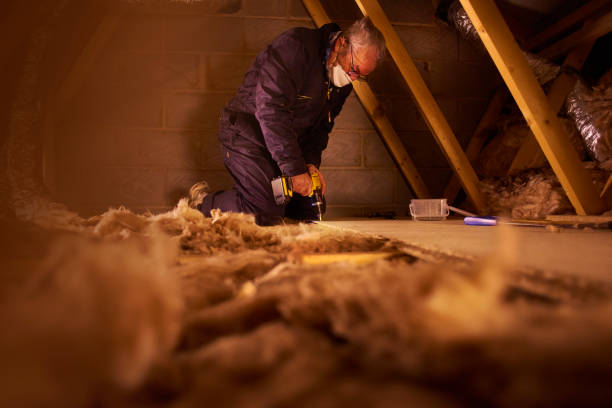 Best DIY Insulation Kits and Guidance in Downs, IL